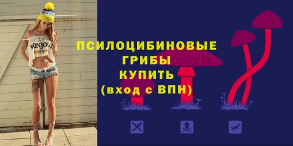 apvp Алзамай